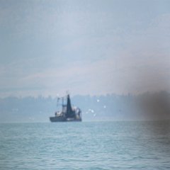 IMG_0259