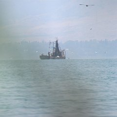 IMG_0260