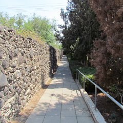 IMG_0266