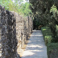 IMG_0267