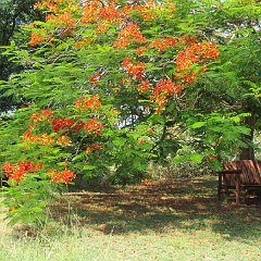 IMG_0272