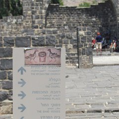 IMG_0274
