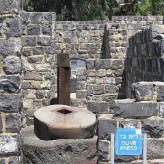 IMG_0276