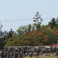 IMG_0281