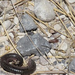 IMG_0282