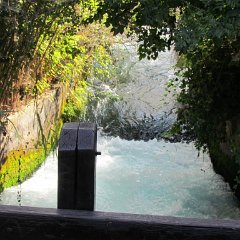 IMG_0368