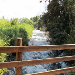 IMG_0375