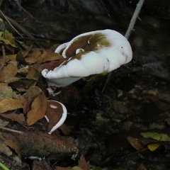 IMG_0380