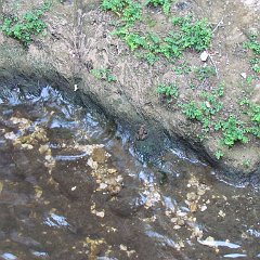 IMG_0196