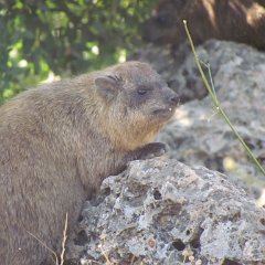 IMG_1403