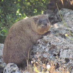 IMG_1404