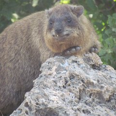 IMG_1405