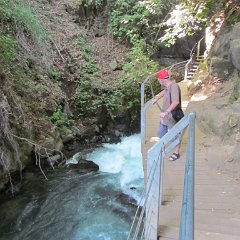 IMG_1411