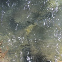 IMG_1425