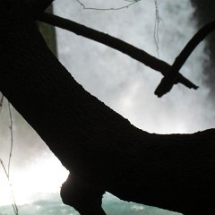 IMG_1433