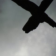 IMG_1434