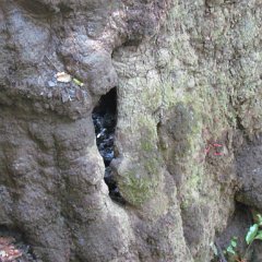 IMG_1439