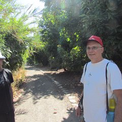 IMG_1347