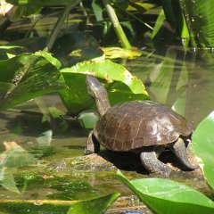 IMG_1361