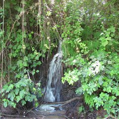 IMG_1369