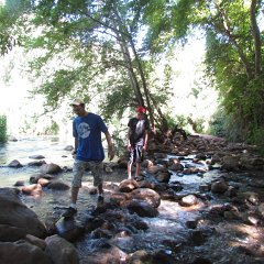 IMG_1370