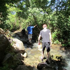 IMG_1382