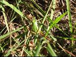 Thumbnail Image, Click to Enlarge thumb_IMG_3277.JPG