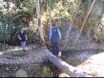 Thumbnail Image, Click to Enlarge thumb_IMG_3280.JPG