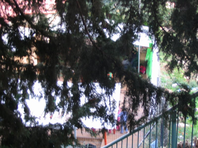 IMG_3231.JPG