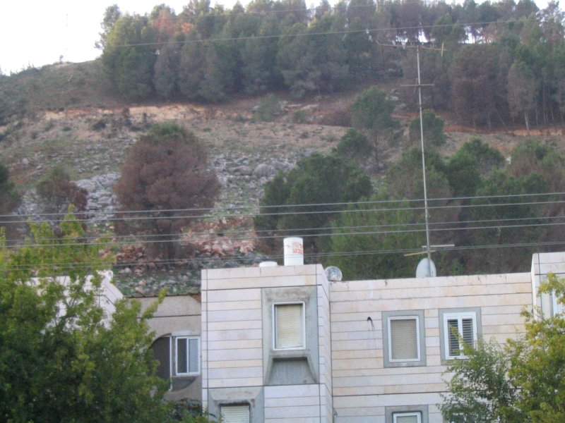 IMG_3237.JPG