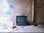 Thumbnail Image, Click to Enlarge thumb_IMG_3195.JPG