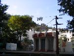 Thumbnail Image, Click to Enlarge thumb_IMG_3201.JPG
