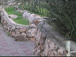Thumbnail Image, Click to Enlarge thumb_IMG_3218.JPG