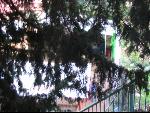 Thumbnail Image, Click to Enlarge thumb_IMG_3231.JPG