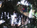 Thumbnail Image, Click to Enlarge thumb_IMG_3232.JPG