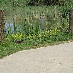 IMG_3271