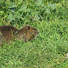 IMG_3275
