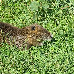 IMG_3276
