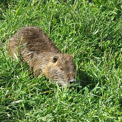 IMG_3277