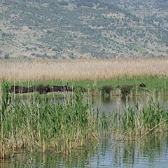 IMG_3280