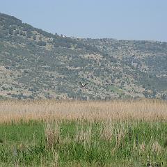 IMG_3281