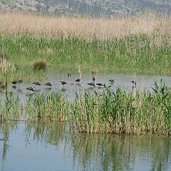 IMG_3282