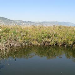 IMG_3298