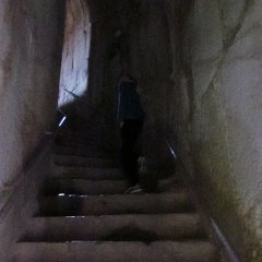 IMG_2497
