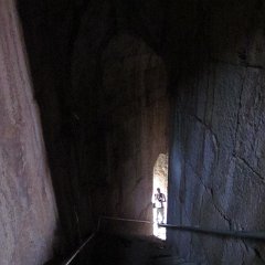 IMG_2498