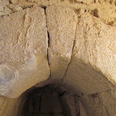 IMG_2505