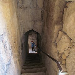 IMG_2508