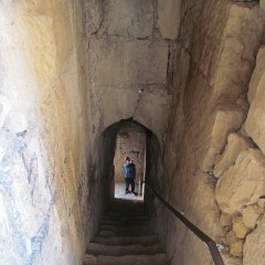 IMG_2509