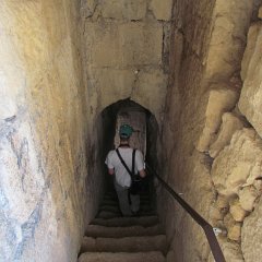IMG_2510