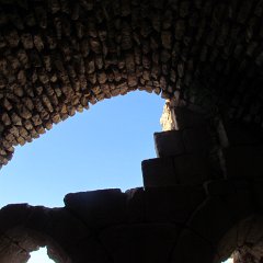 IMG_2513